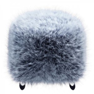 TASCAM WS-86