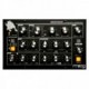 MOOG MINITAUR
