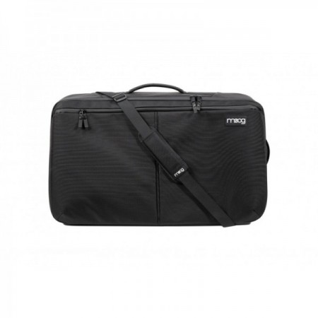 MOOG SUBSEQUENT 37 SR CASE