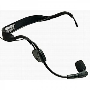 SHURE WH 30 TQG
