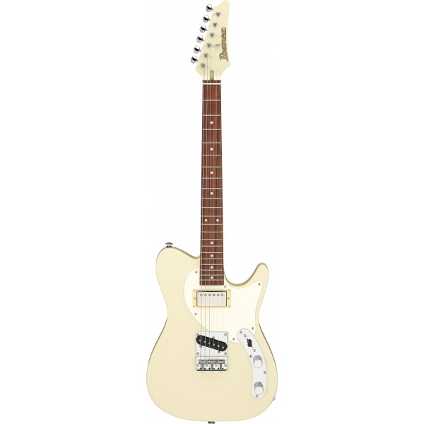 IBANEZ FLATV2 MSN