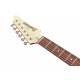 IBANEZ FLATV2 MSN