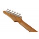 IBANEZ FLATV2 MSN
