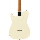 IBANEZ FLATV2 MSN