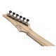 IBANEZ RGA21P1PB DRL