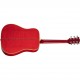 GIBSON DOVE ORIGINAL ANTIQUE NATURAL