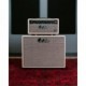 PRS GUITARS STACK DAVID GRISSOM DGT15 HEAD + DG 1X12 CAB