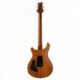 PRS GUITARS CUSTOM 24 AURORA BOREALIS PRS GUITARS CUSTOM 24 AURORA BOREALIS