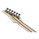 IBANEZ RG5121R DBF