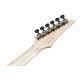 IBANEZ RGR662AHBF WK