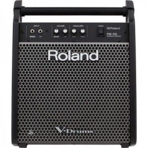 ROLAND PM100