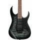 IBANEZ RG450QMB TGB