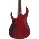 IBANEZ RGD721FA WUF