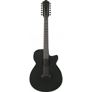 IBANEZ AEG1221 BOT