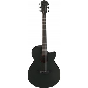 IBANEZ AEG621 BOT