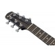 IBANEZ EWP16EWB GAO