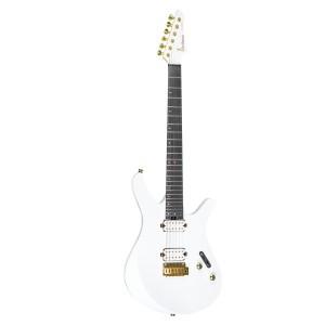 DIVITONE Smart Guitar DSG-10AO