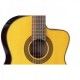 TAKAMINE GC5 CE NATURAL