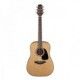 TAKAMINE GD10 NATURAL