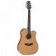 TAKAMINE GD20 CE NATURAL