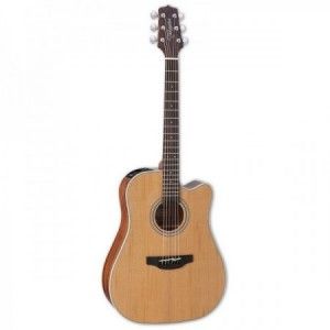 TAKAMINE GD20 CE NATURAL