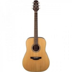 TAKAMINE GD20 NATURAL