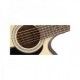 TAKAMINE GF30 CE NATURAL boca