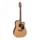 TAKAMINE PRO SERIES P1DC NATURAL