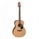 TAKAMINE PRO SERIES P1M ORQUESTRA NATURAL