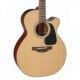 TAKAMINE PRO SERIES P1NC NATURAL body