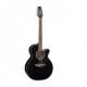 TAKAMINE PRO SERIES P1NC NEGRA