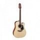 TAKAMINE PRO SERIES P2DC NATURAL