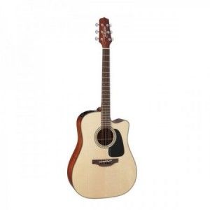 TAKAMINE PRO SERIES P2DC NATURAL