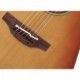 TAKAMINE PRO SERIES P3DC SUNBURST