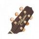 TAKAMINE PRO SERIES P3DC SUNBURST
