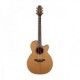 TAKAMINE PRO SERIES P3NC NATURAL