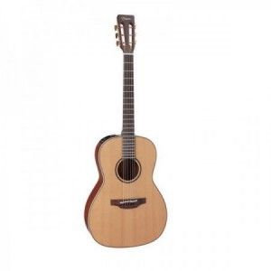 TAKAMINE PRO SERIES P3NY NATURAL