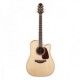 TAKAMINE PRO SERIES P4DC NATURAL