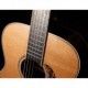 TAKAMINE PRO SERIES P7 TF77