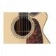 TAKAMINE PRO SERIES P7NC NATURAL detalle