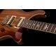 PRS SE CUSTOM 24 ZEBRAWOOD neck