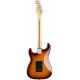 FENDER PLAYER STRATO PLUS TOP TOBACCO BRST PF tras