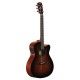 ALVAREZ AF66CE ARTIST FOLK 2