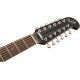 FENDER VILLAGER V3 12 CUERDAS JETTY BLACK pala