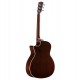 ALVAREZ AGW77 CEAR ARTIST GA tras