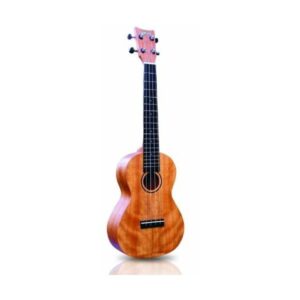 UKELELE ASHTON TENOR