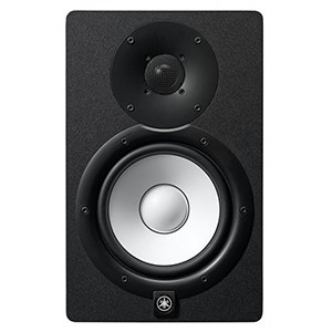 Monitor de Estudio