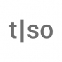 Torso Electronics