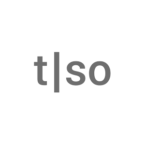 Torso Electronics